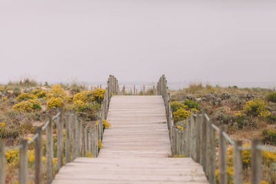 Boardwalk amidst trees against clear sky