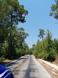 Country road amidst trees against sky