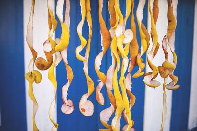 Close-up of yellow leaves