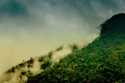 Scenic view of tree mountains against sky