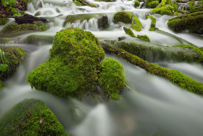 River flowing through rocks