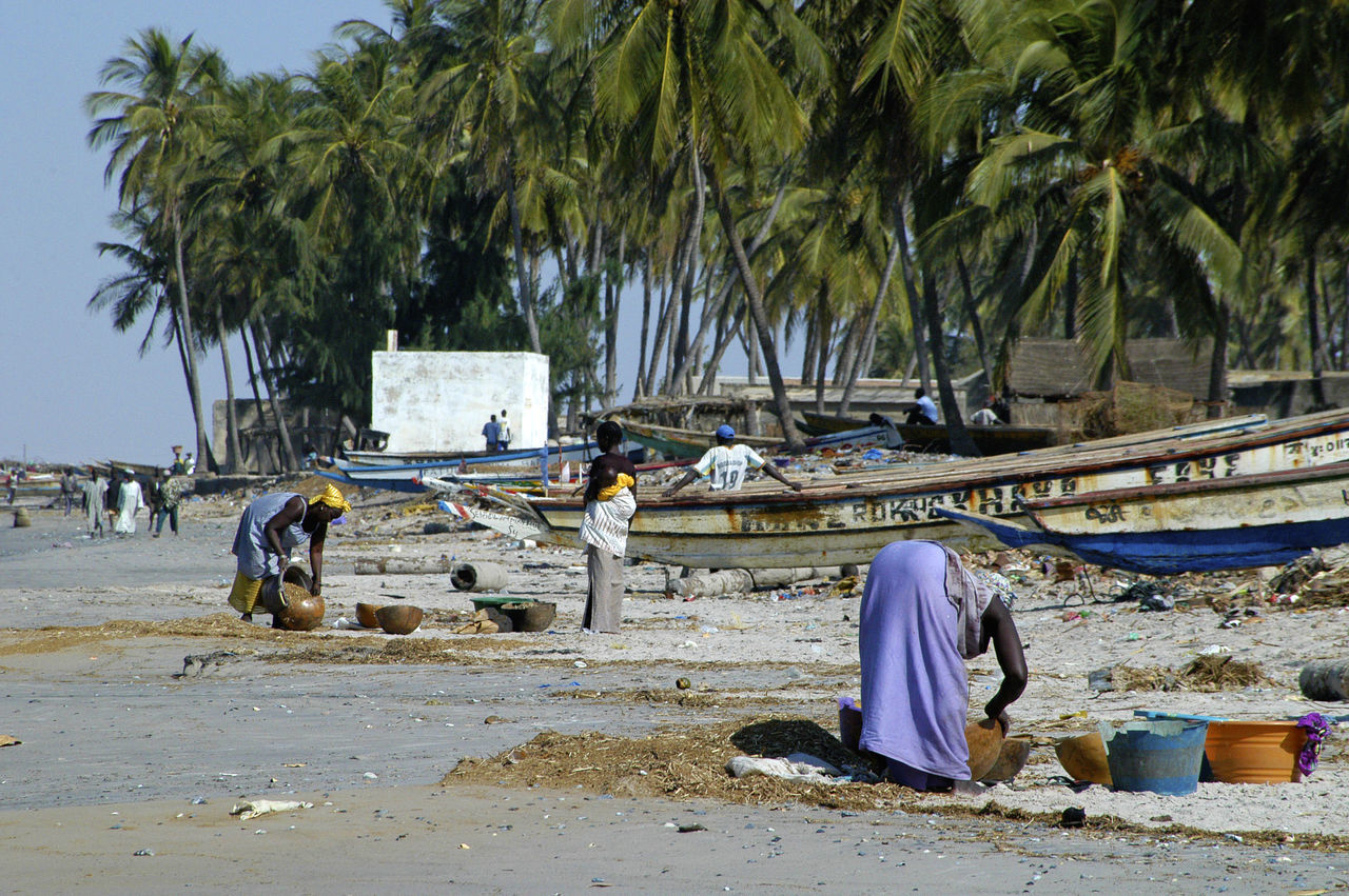 PEOPLE ON BEACH WITH PALM TREES