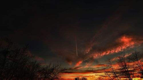 Low angle view of silhouette trees against sky at night