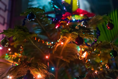 Close-up of illuminated christmas tree at night