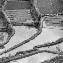 High angle view of snowy field during winter
