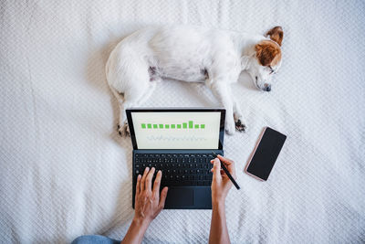 Unrecognizable woman working on financial data with computer. analyzing  statistics on screen