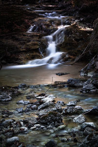 Low angle view of waterfall in forest