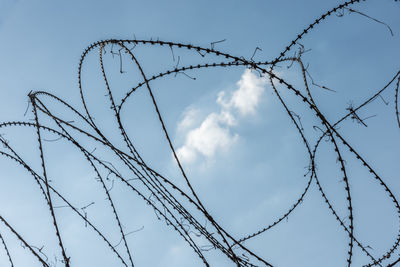 Low angle view of barbed wire against sky
