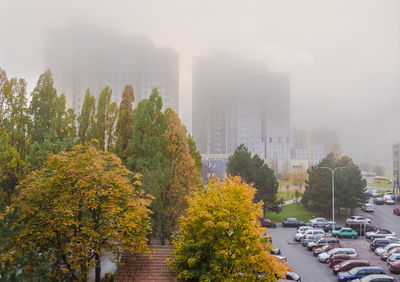 High angle view of trees in city during foggy weather