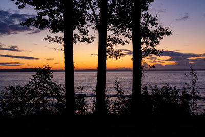 Silhouette trees by sea against sky during sunset