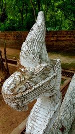 Close-up of angel statue in park