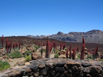 Scenic view of mountains against clear blue sky