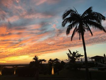 Low angle view of silhouette palm trees against dramatic sky