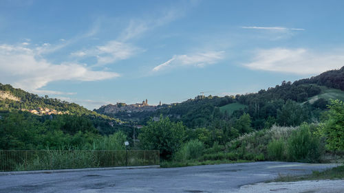 Plants and road by trees and buildings against sky