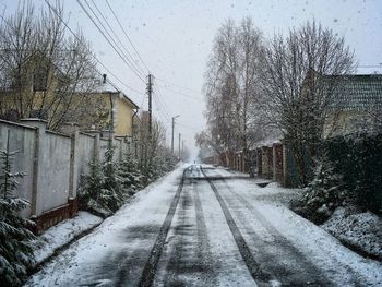 Street light along bare trees