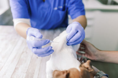 Midsection of female veterinarian examining puppy at clinic