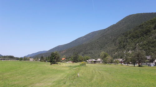 Scenic view of field and mountains against clear blue sky