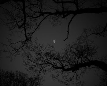 Low angle view of bare trees against sky