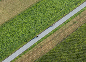 High angle view of agricultural field