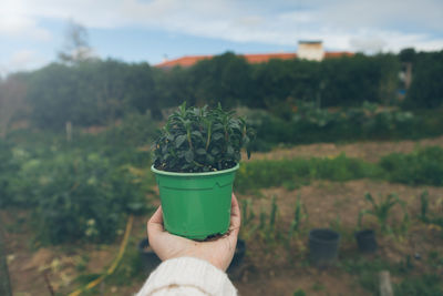 Cropped hand of person holding potted plant at farm field