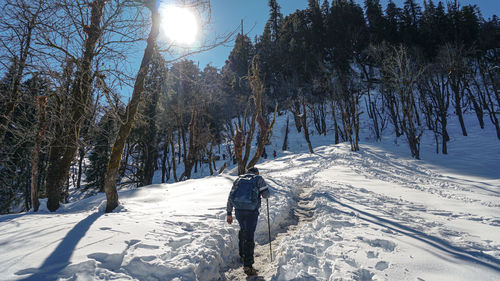 Hiking in the mountains uttarakhand sankari india