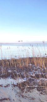 Scenic view of sea against clear sky