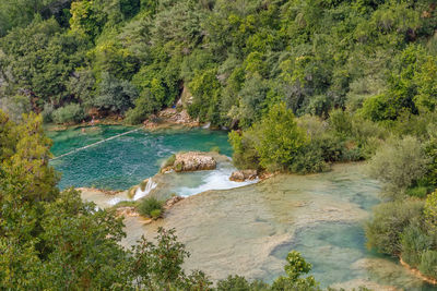 High angle view of trees by sea