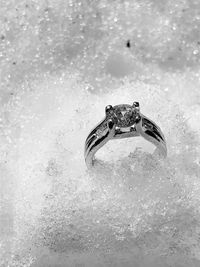 High angle view of turtle in sea