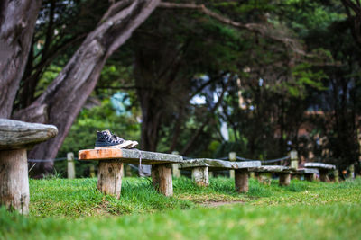 Shoes on bench by trees in park