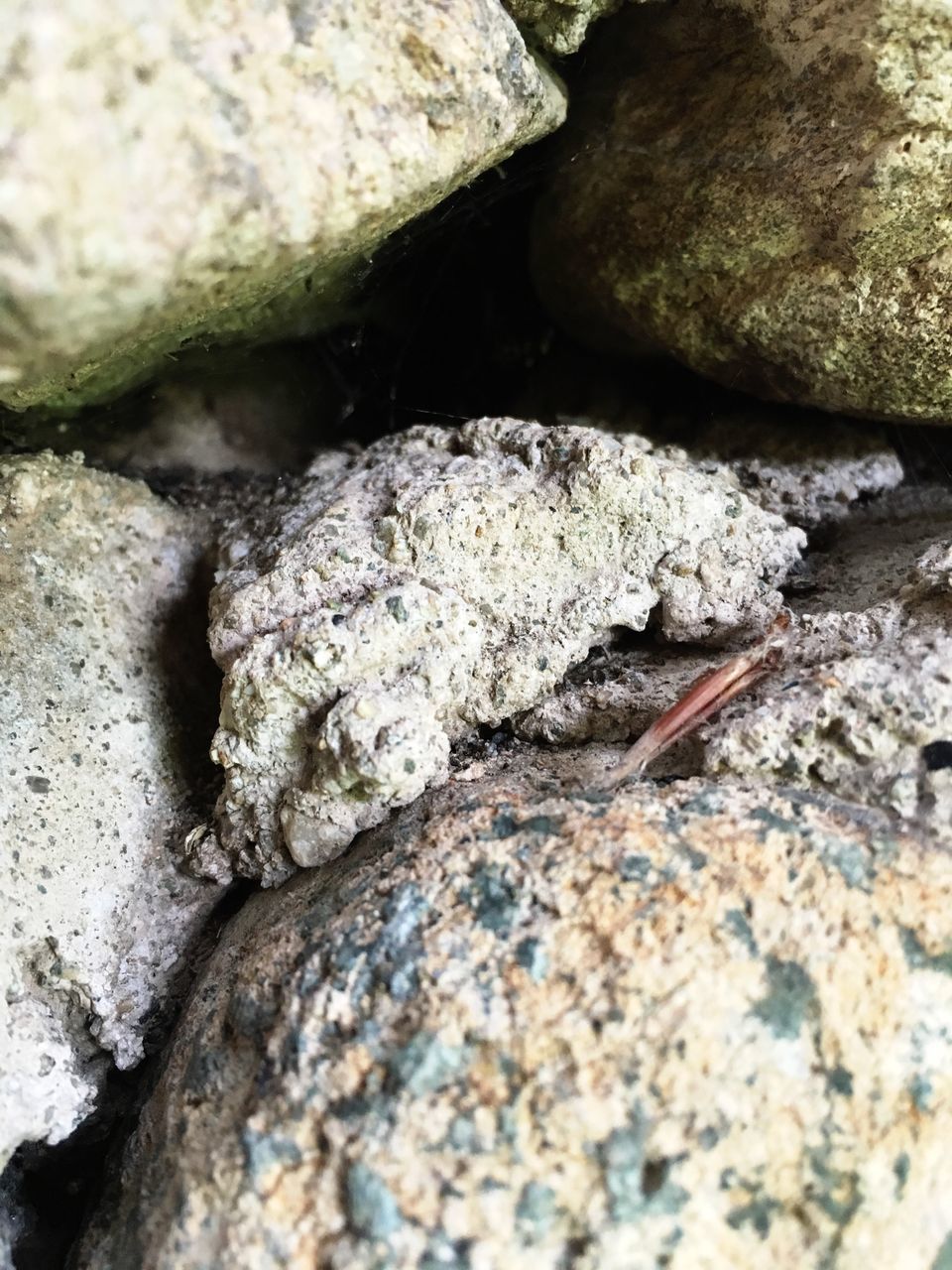 rock - object, close-up, selective focus, nature, rock, tranquility, outdoors, day, stone, beauty in nature, scenics, non-urban scene