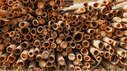 Beautiful wood kept in pattern creating a nice background, storage place for wood logs, stack of log