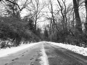 Road amidst trees against sky during winter