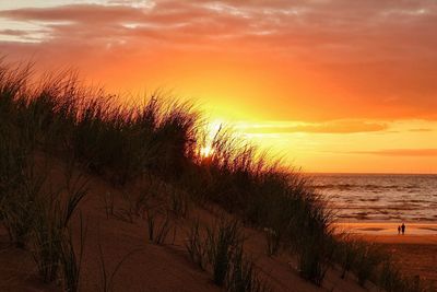 Scenic view of beach during sunset