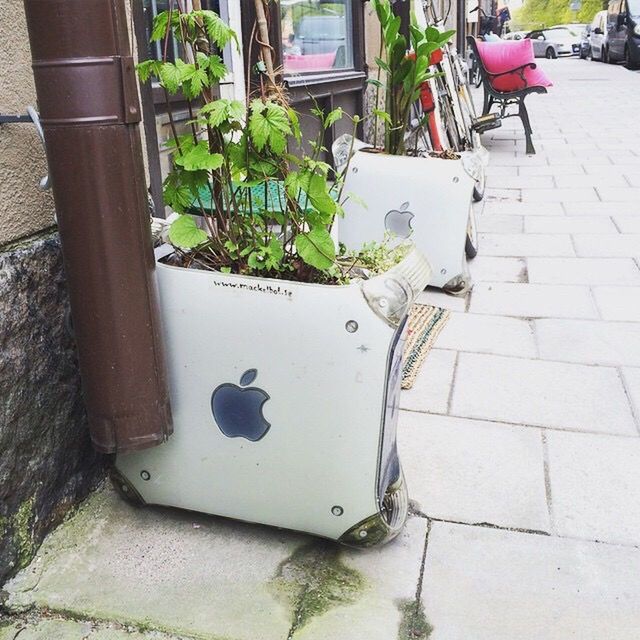 POTTED PLANT ON SIDEWALK BY WALL