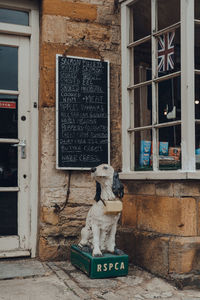 Low angle view of dog by window on wall of building