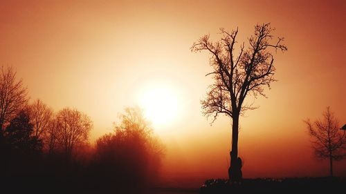 Silhouette bare tree on field against orange sky