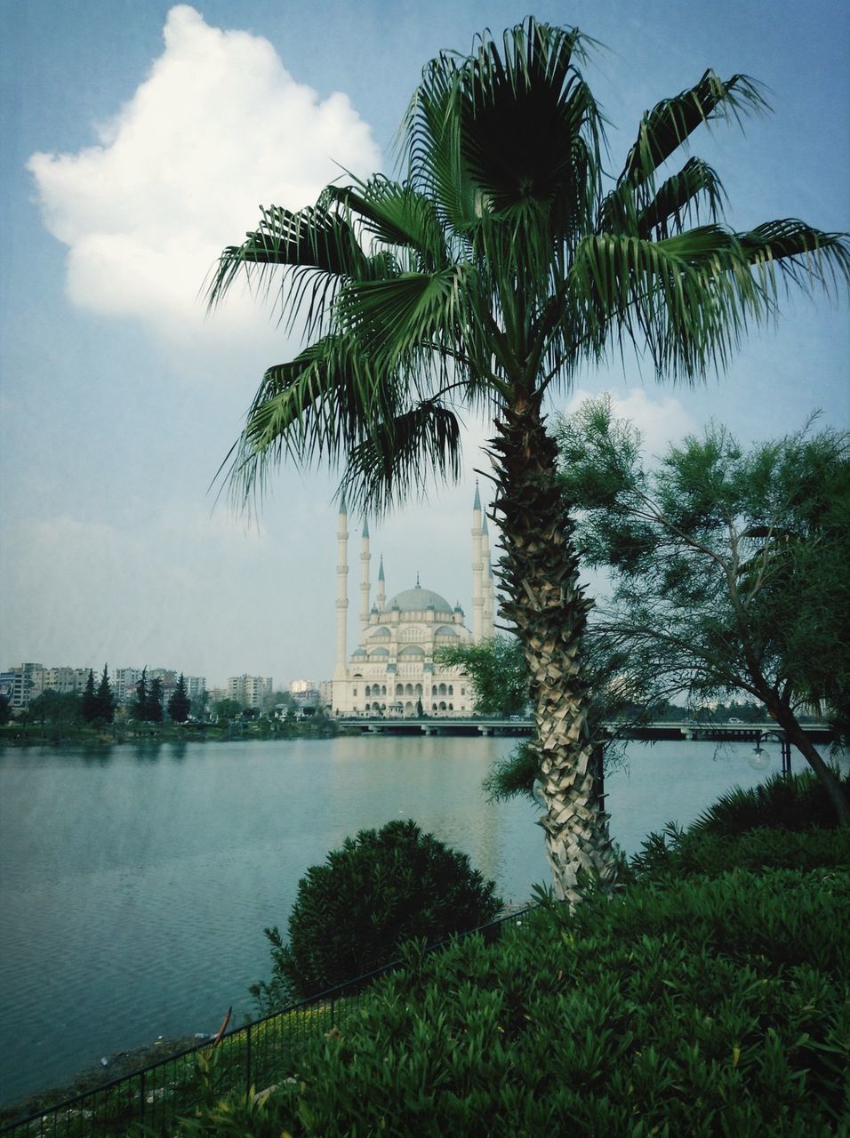 tree, palm tree, architecture, built structure, water, building exterior, sky, growth, travel destinations, tall - high, nature, famous place, tourism, travel, city, branch, green color, cloud - sky, day, tree trunk