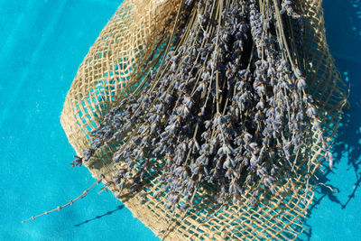 Low angle view of blue fishing net