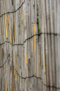 Full frame shot of wooden fence against wall