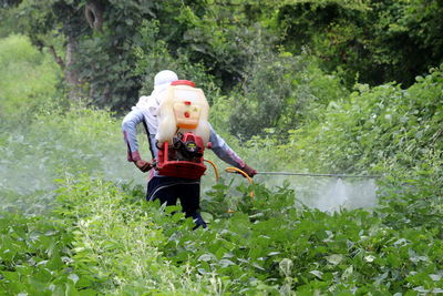 Rear view of man spraying pesticides on plants