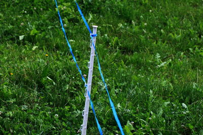 Full frame shot of green grass