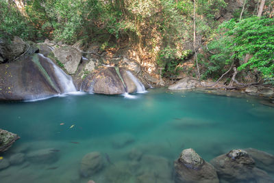 Scenic view of waterfall in forest