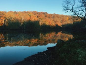 Reflection of trees in lake against clear sky