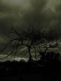 Silhouette of bare trees against cloudy sky