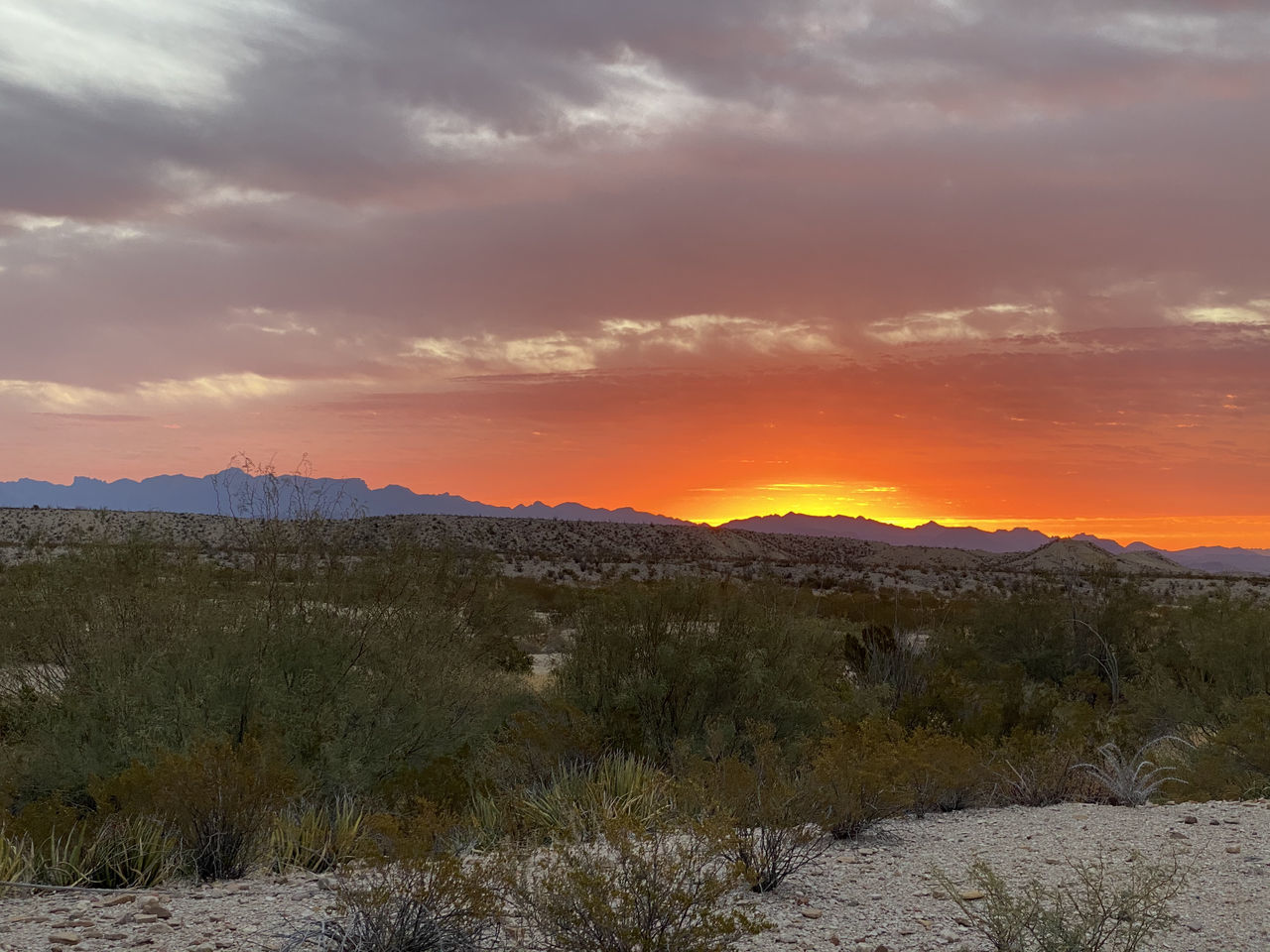 SCENIC VIEW OF FIELD DURING SUNSET