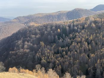 High angle view of trees and mountains against sky