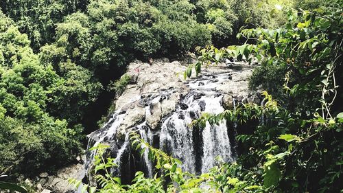 Scenic view of waterfall in forest