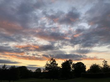 Silhouette trees on field against sky at sunset