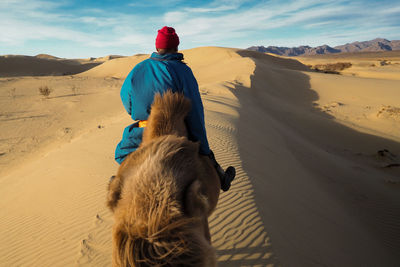 Rear view of man with dog on sand in desert