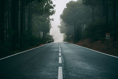 Empty road along trees